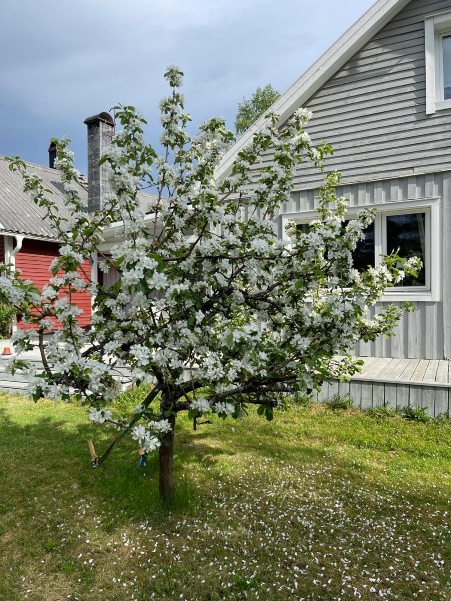 Villa Daga Vidsel ภายนอก รูปภาพ